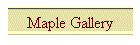 Maple Gallery