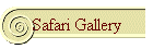 Safari Gallery